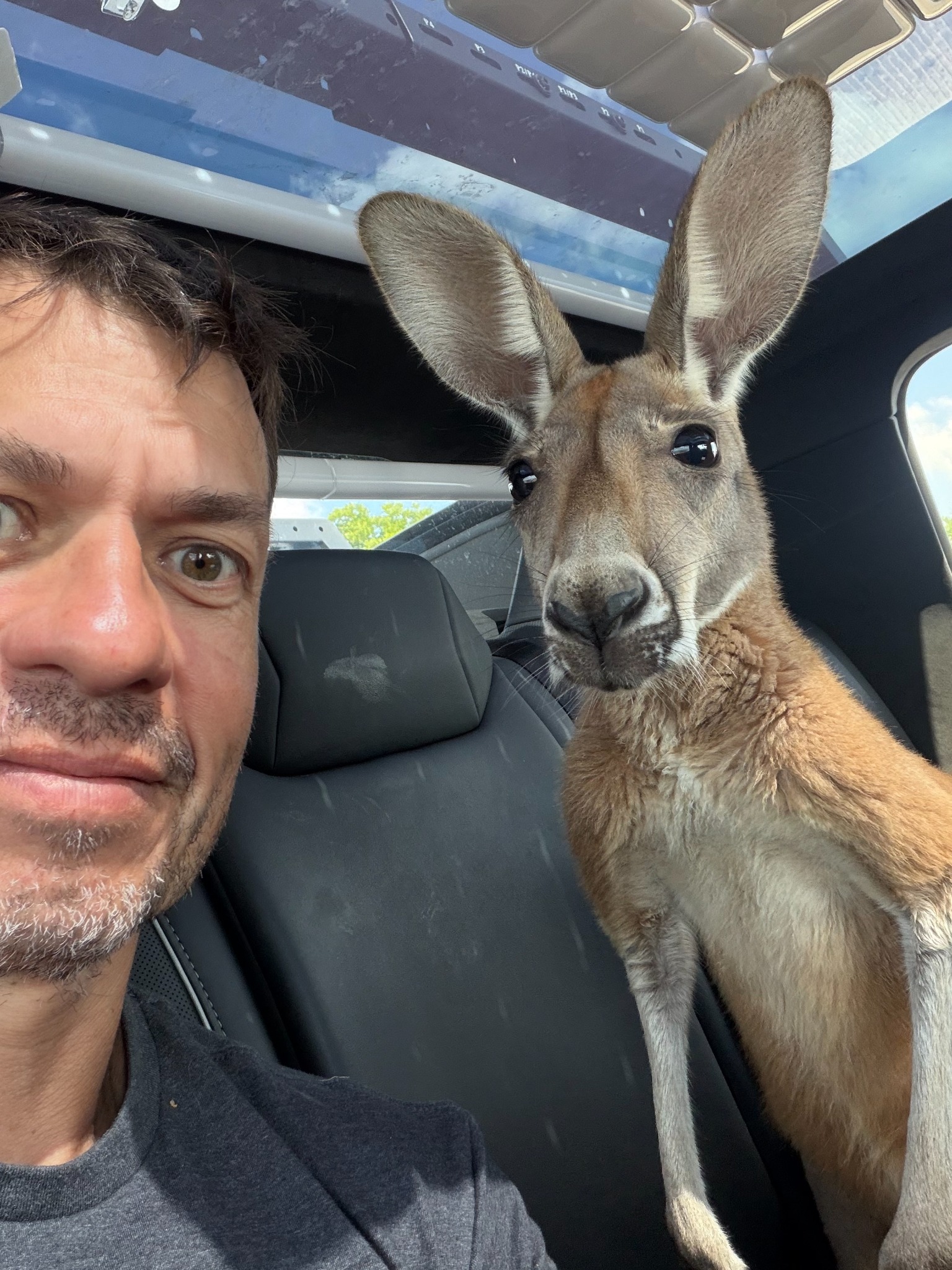 On the road with Jack