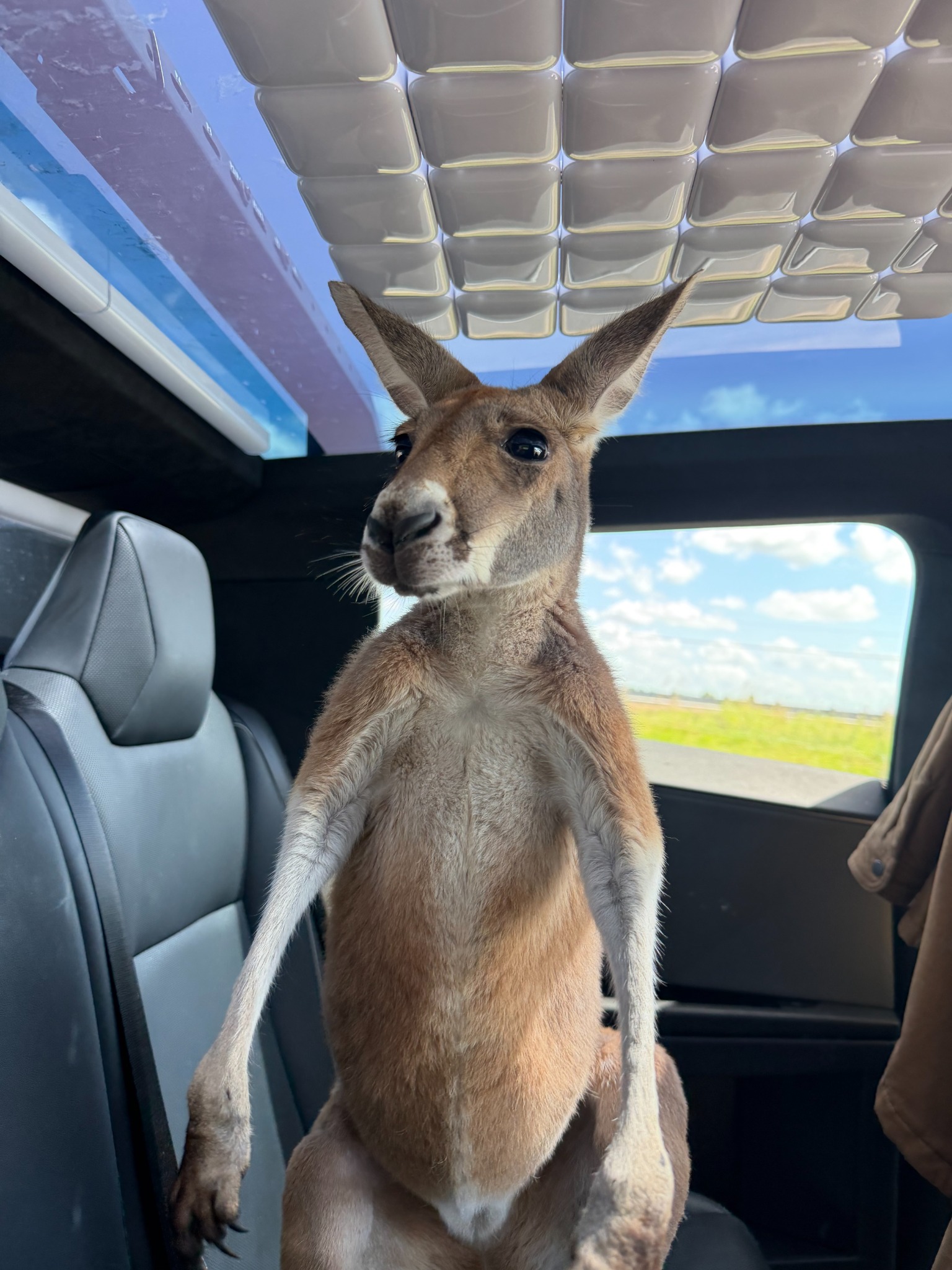 Jack riding along